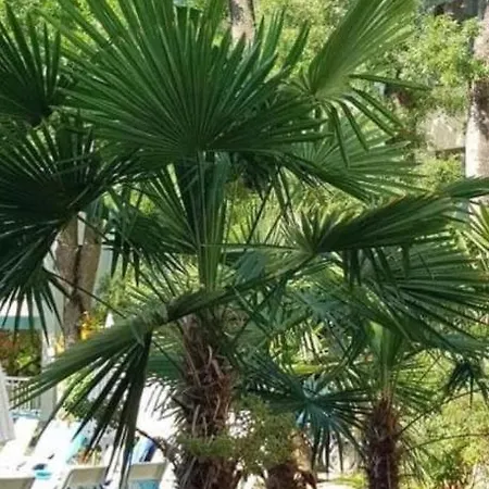 Yassen Village Διαμέρισμα *